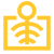 Radiology Icon - Yellow